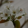potd113