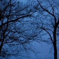 potd115