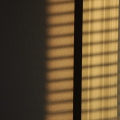 potd16