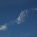 potd169