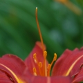 potd190