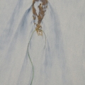 potd222