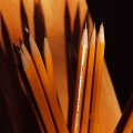 potd228