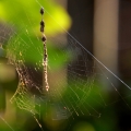 potd230
