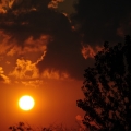 potd247