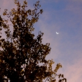 potd257