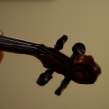 potd26
