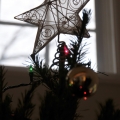 potd333
