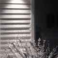 potd343