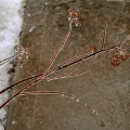 potd357