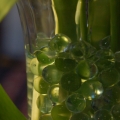 potd58