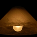potd66