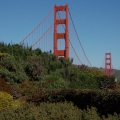 potd81