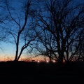 potd98